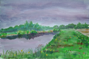 Westbroekse Zodden ochtend 20-5-2013