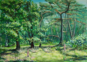 Bos bij Bilthoven mei 2014