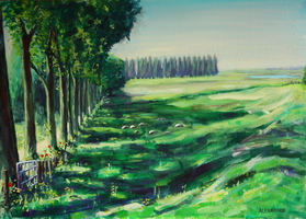 Dijkje Kortenhoef mei 2014