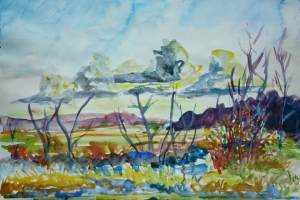 Westbroekse Zodden 23-3-2014