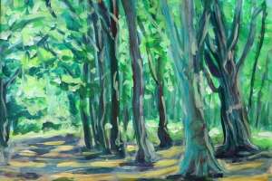 Ridderoordsche Bosschen 5-8-2014