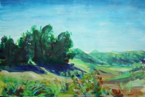 Wassenaarse duinen 7-8-2014