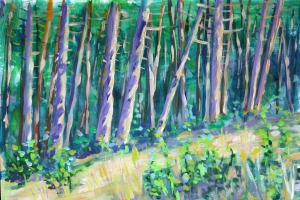 Bosberg Hollandse Rading 10-8-2014