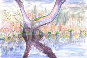 Westbroekse Zodden 13-4-2012