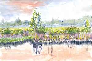 Westbroekse Zodden 20-5-2012