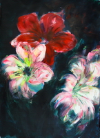 Amarillus 2 18-12-15