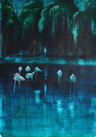 Flamingo's 25-1-2016