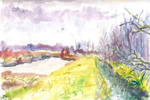 Westbroekse Zodden 24-2-2012