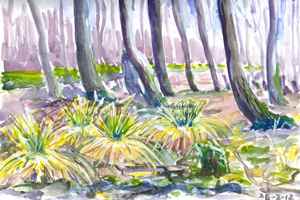 Westbroekse Zodden 26-2-2012