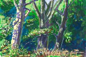 Einde Gooi 19-8-2012