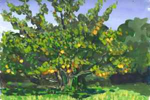 Eik, Zonneweide 5-10-12