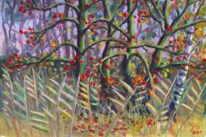 Kers in Zodden 27-10-2012