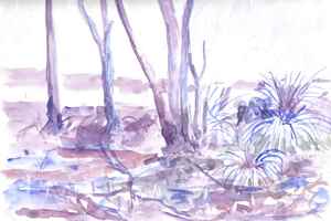 Westbroekse Zodden 8-3-2012