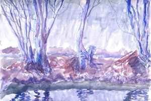 Westbroekse Zodden 10-3-2012