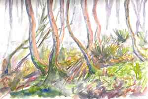 Westbroekse Zodden 17-3-2012